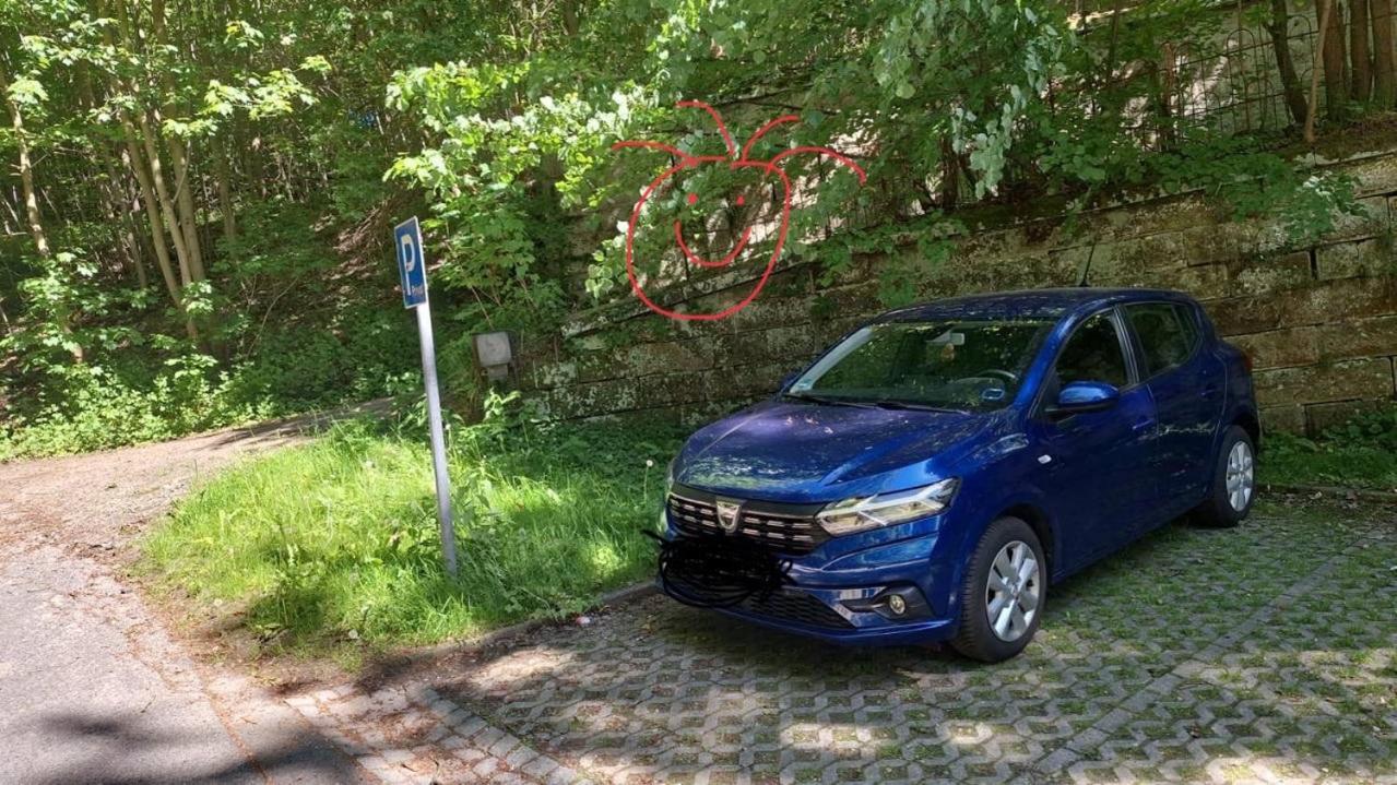 סבניץ Elbenland Apartments Saechsische Schweiz מראה חיצוני תמונה